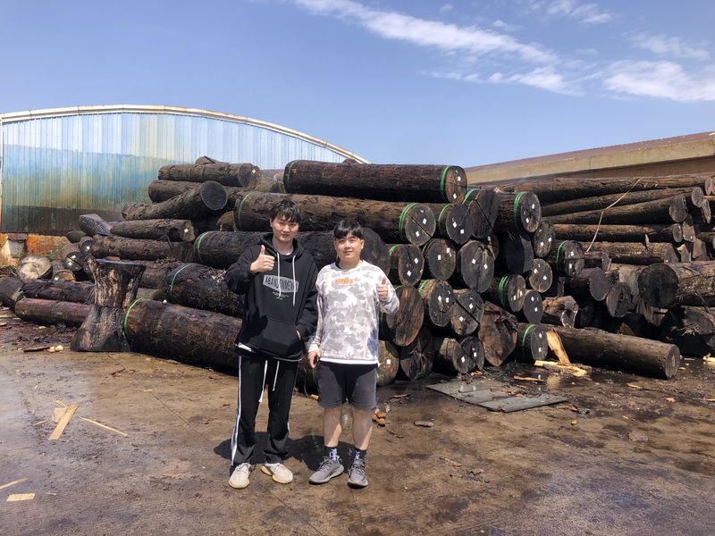 Dongguan Lingfeng Wood Industry Co., Ltd. manufacturer production line