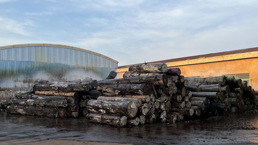 Dongguan Lingfeng Wood Industry Co., Ltd. manufacturer production line
