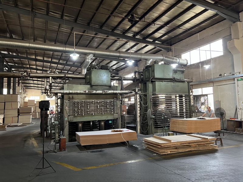 Dongguan Lingfeng Wood Industry Co., Ltd. manufacturer production line