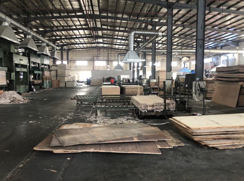 Dongguan Lingfeng Wood Industry Co., Ltd. manufacturer production line