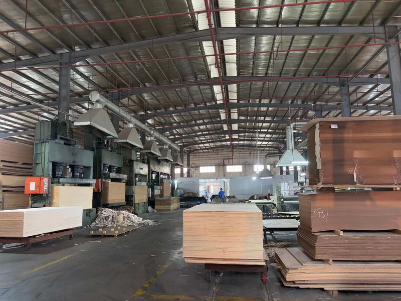 Dongguan Lingfeng Wood Industry Co., Ltd. manufacturer production line