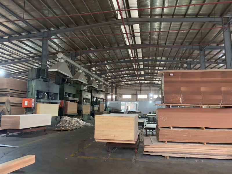 Dongguan Lingfeng Wood Industry Co., Ltd. manufacturer production line