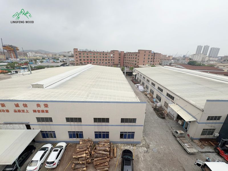 Dongguan Lingfeng Wood Industry Co., Ltd. manufacturer production line