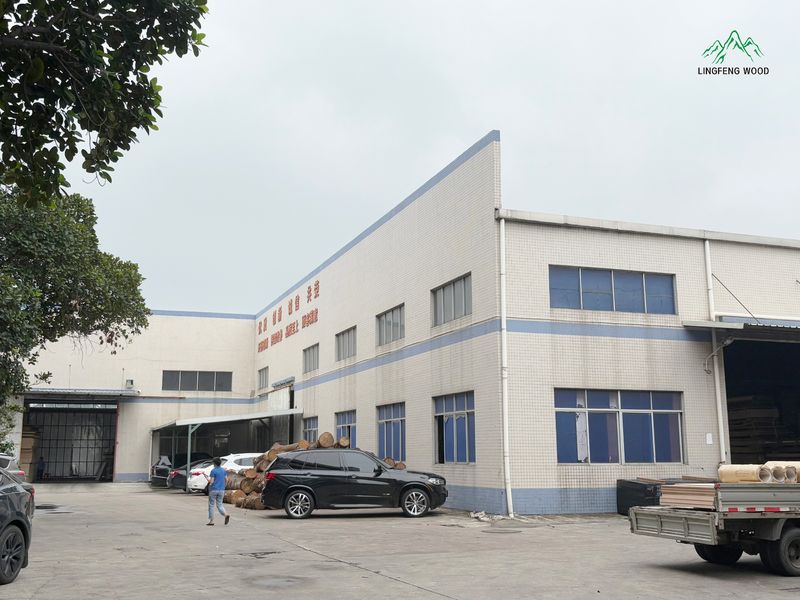 Dongguan Lingfeng Wood Industry Co., Ltd. manufacturer production line