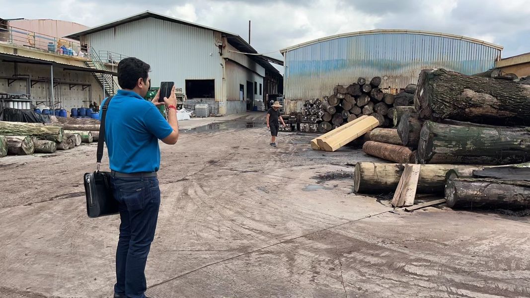 Dongguan Lingfeng Wood Industry Co., Ltd.