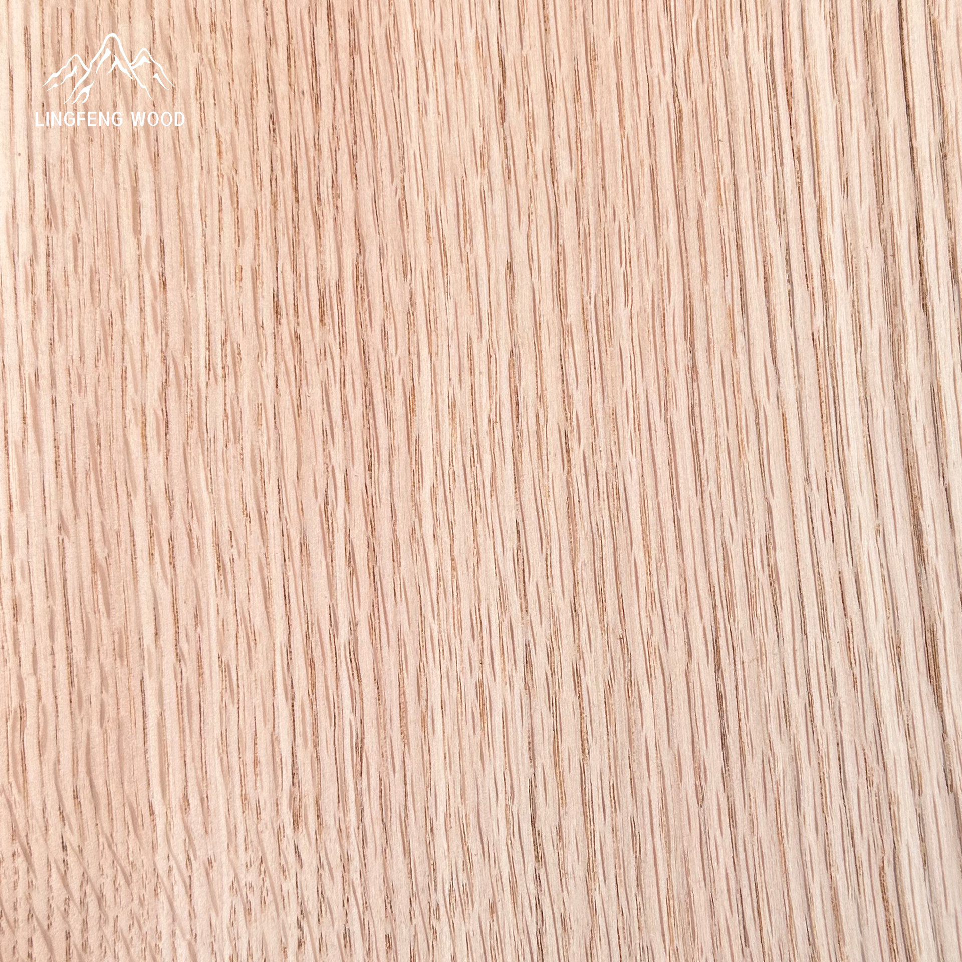 Red Oak Veneer Quarter Cut 0.45mm Natural Wood Veneer Sheet